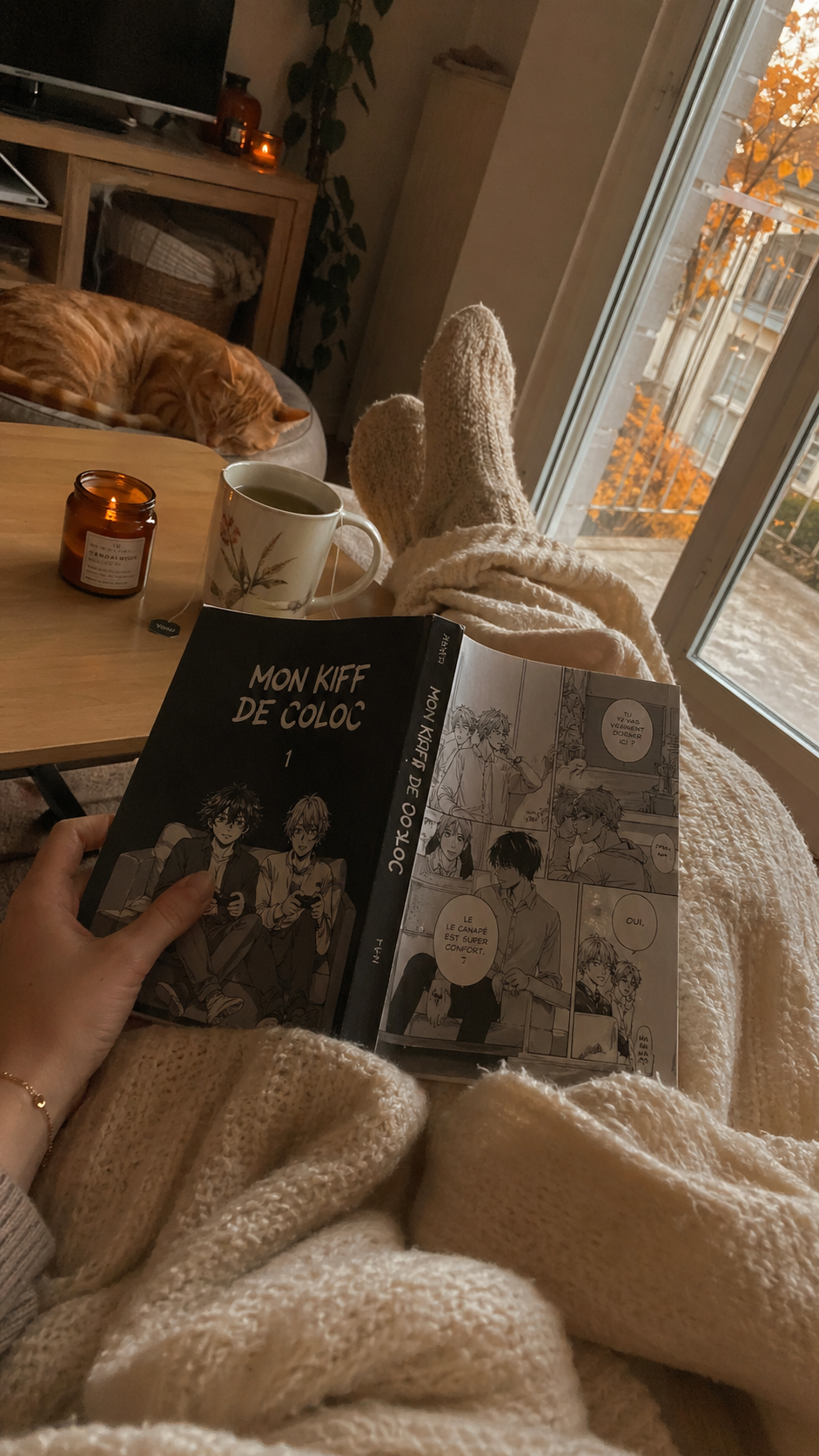 Manga reçu par Sébastien L.